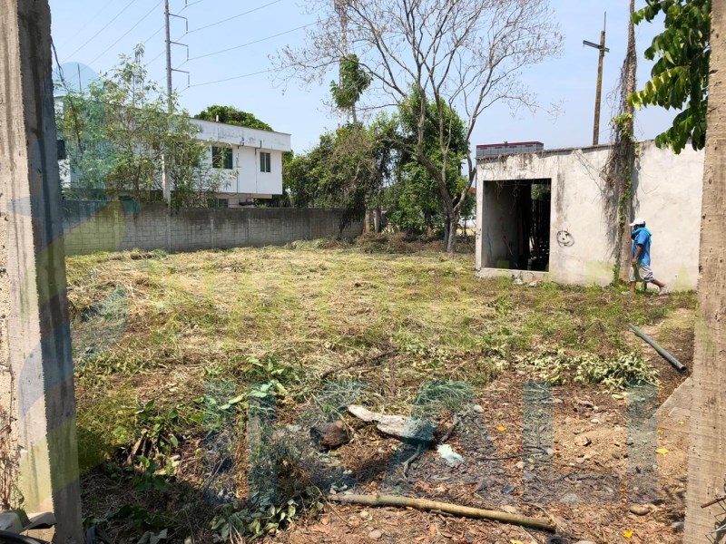 Terreno en Renta en Primavera
