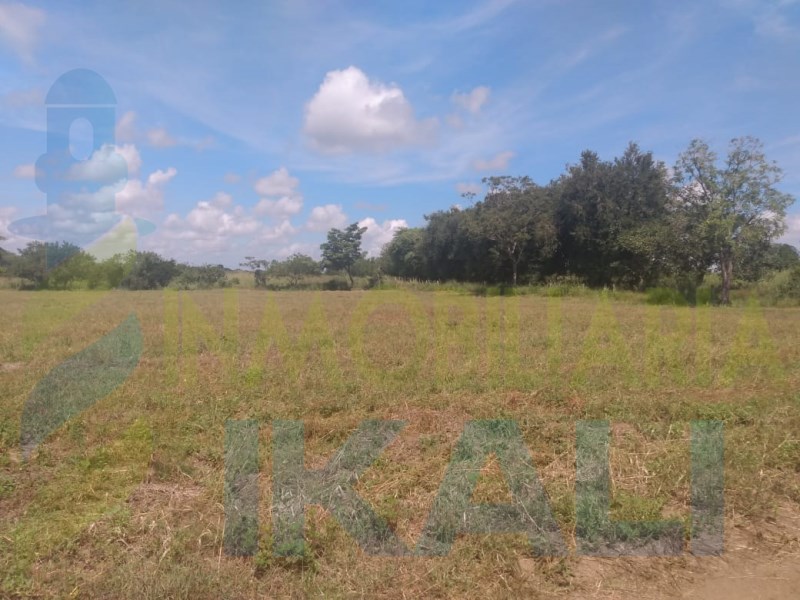 Terreno en Venta en Manlio Fabio Altamirano