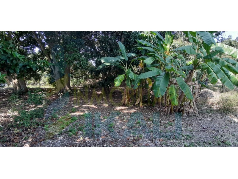 Terreno en Venta en La Mata
