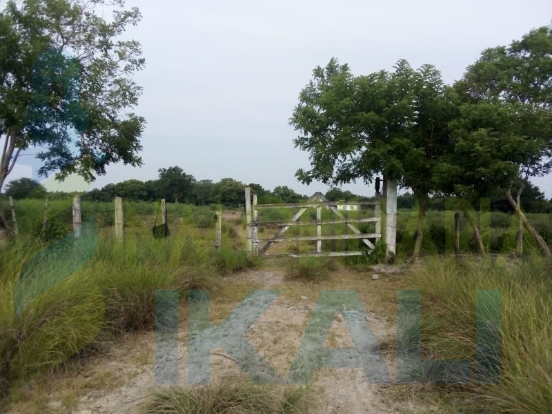 Terreno en Venta en Tamiahua