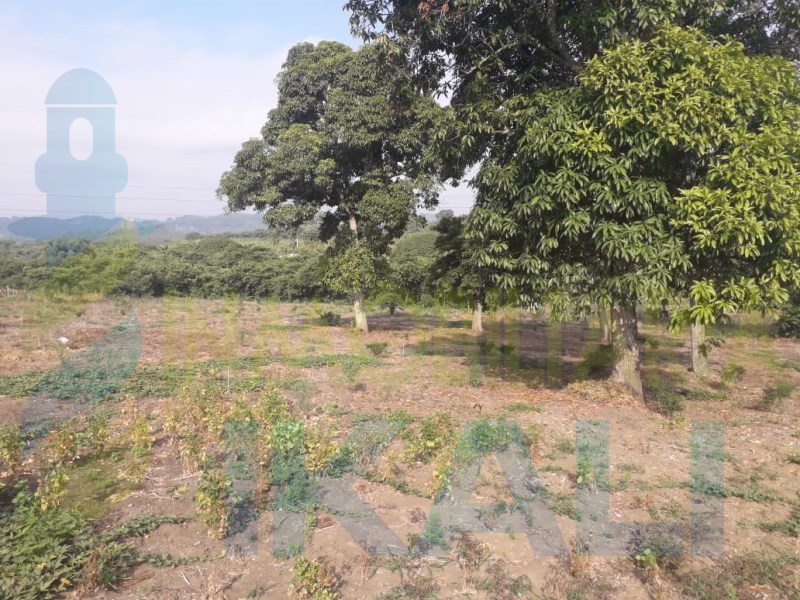 Terreno en Venta en Lazaro Cardenas