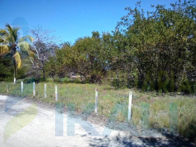 Terreno en Venta en Boca Nueva