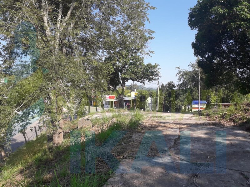 Terreno en Venta en Francisco Sarabia