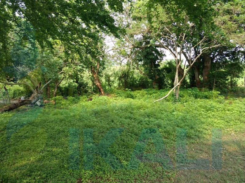 Terreno en Venta en Sabanillas