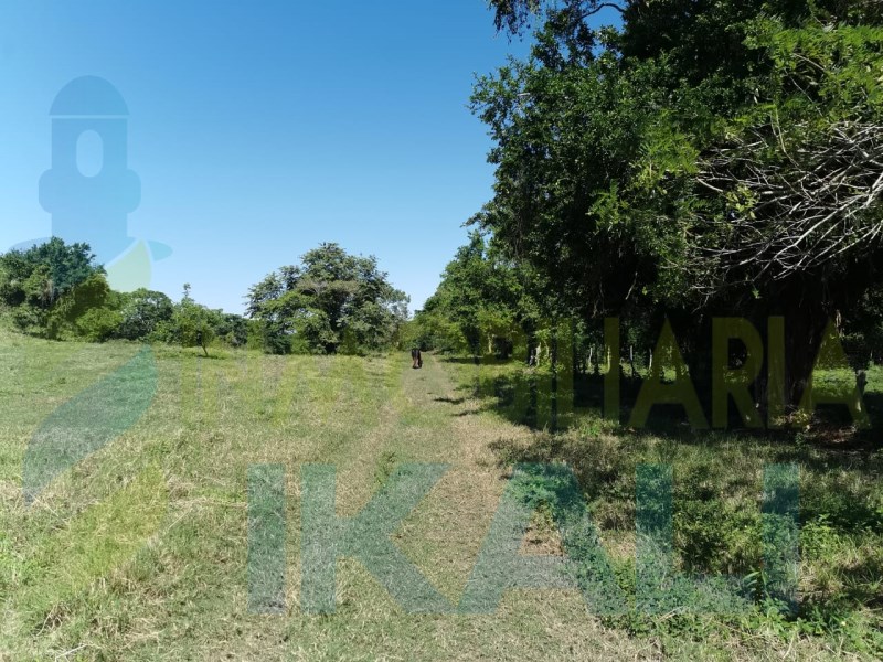 Terreno en Venta en Lic Rafael Hernandez Ochoa