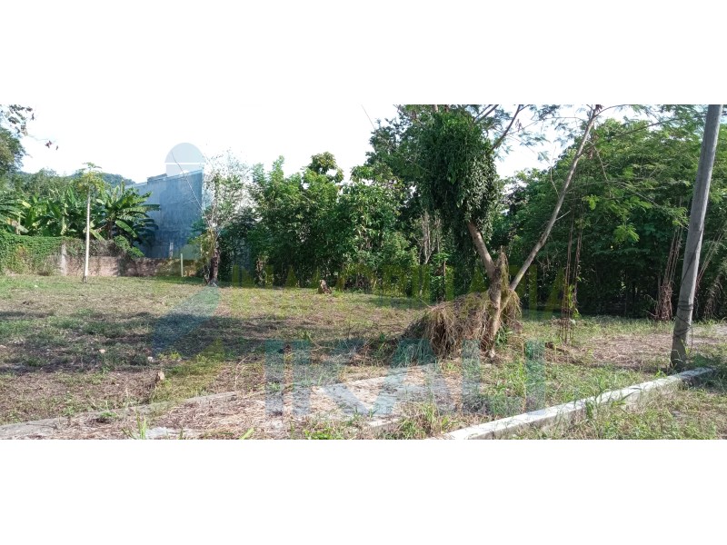 Terreno en Venta en Primavera