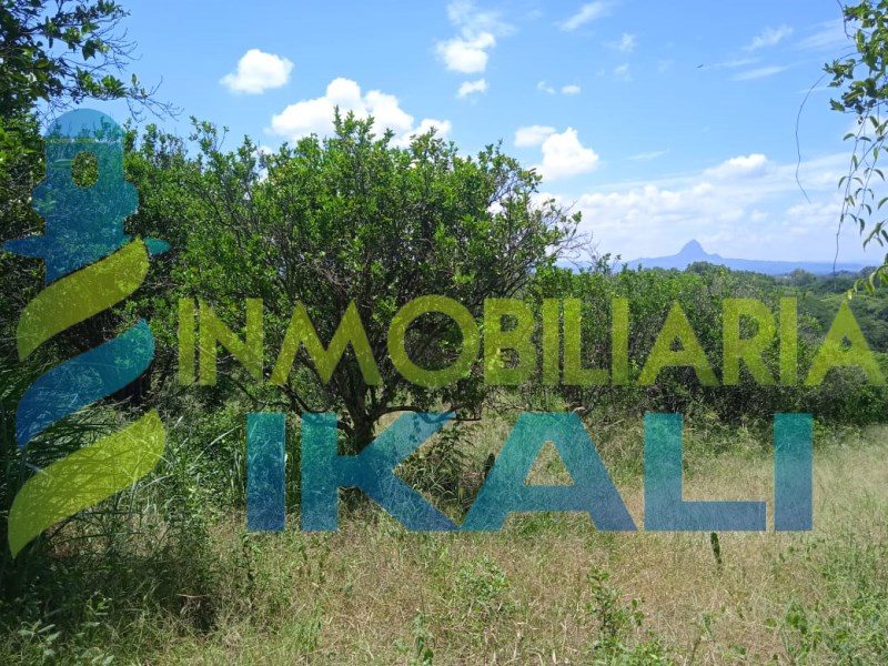 Terreno en Venta en Alamo