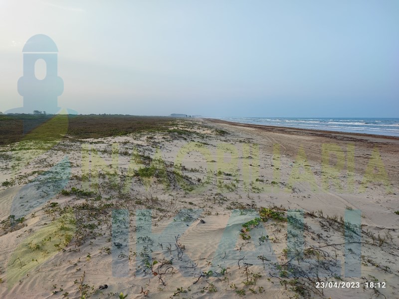 Terreno en Venta en Palo Blanco