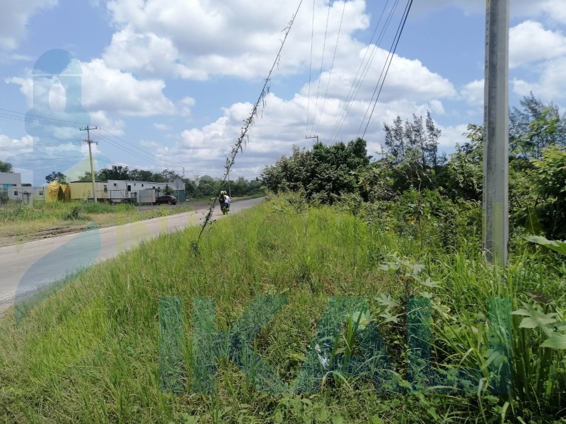 Terreno en Renta en Banderas