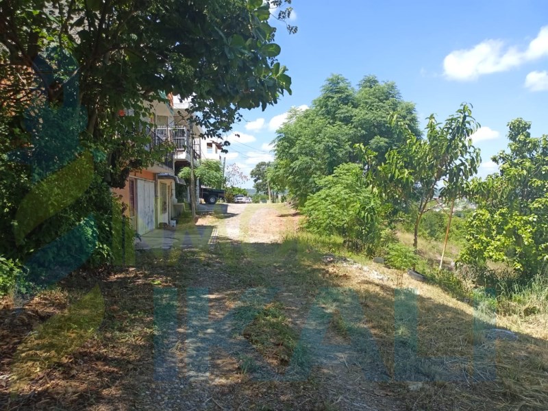 Terreno en Venta en Chapultepec