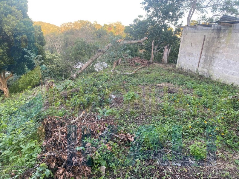 Terreno en Venta en Cruz Naranjos