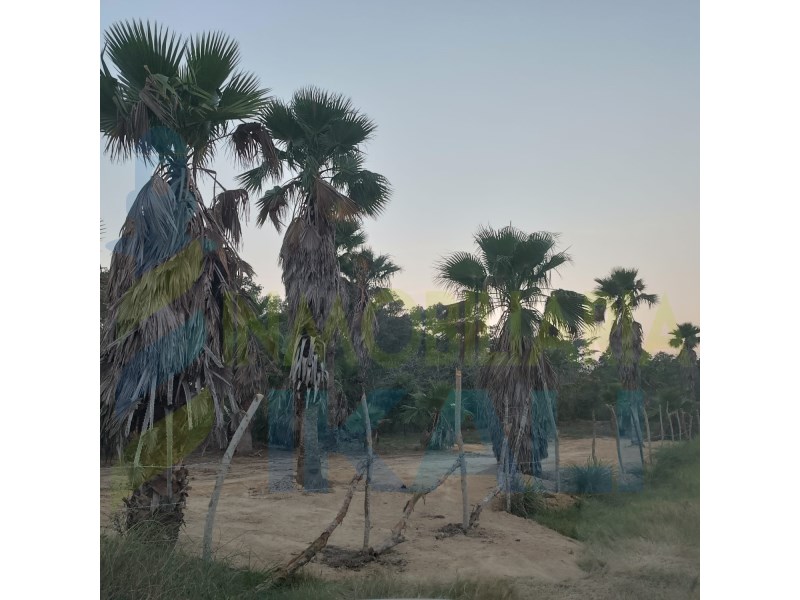 Terreno en Venta en Emiliano Zapata