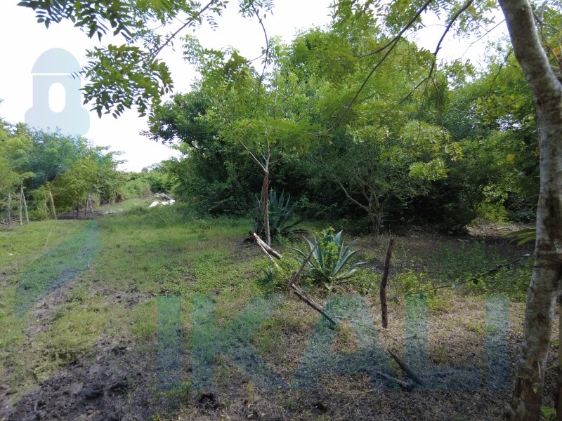Terreno en Venta en Villa Rosita