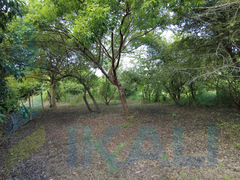 Terreno en Venta en Fidel Herrera Beltran