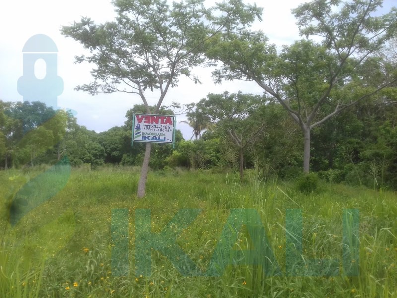 Terreno en Venta en El Triangulo