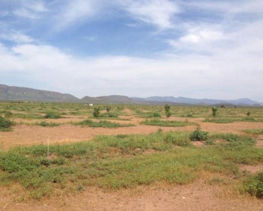 Terreno en Venta en colonia Pueblo El  Sauz