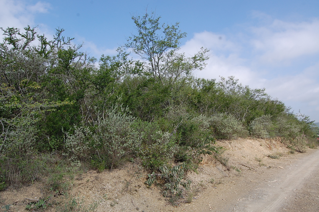 Terreno en Venta en Colonia Valle Escondido