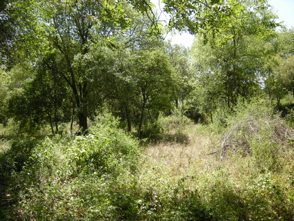 Terreno en Venta en Hacienda Las Cristalinas