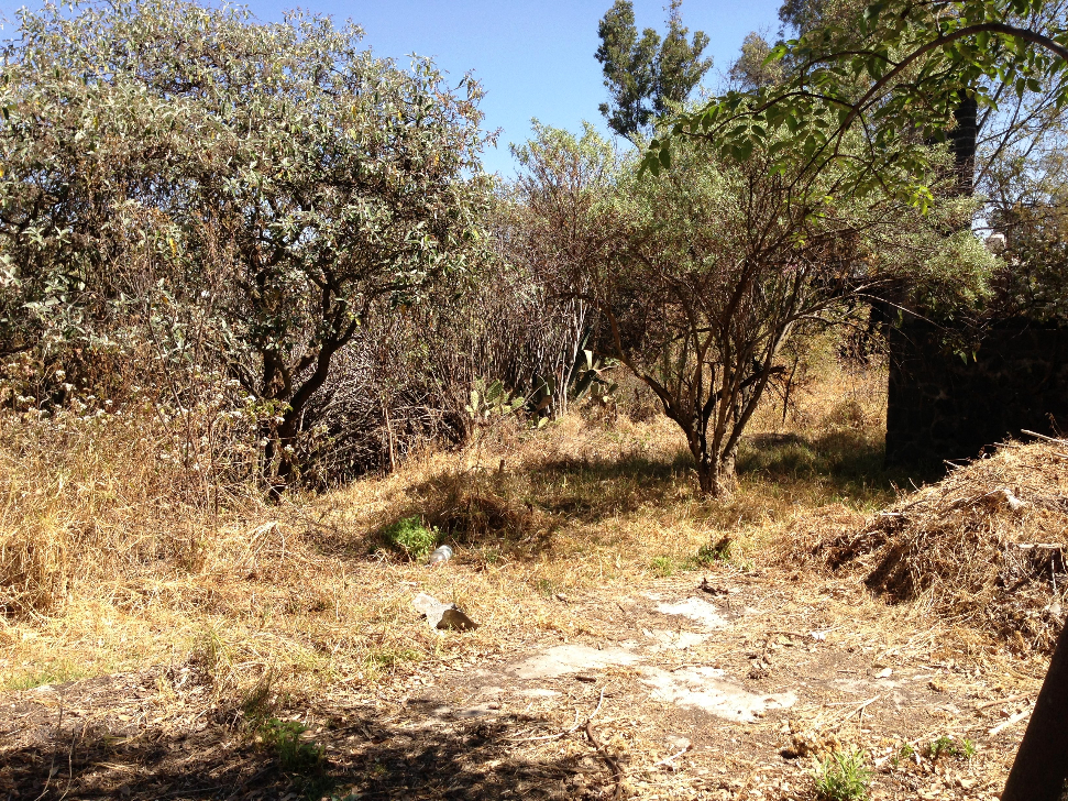 Terreno en Venta en colonia Pueblo San Pedro Martir