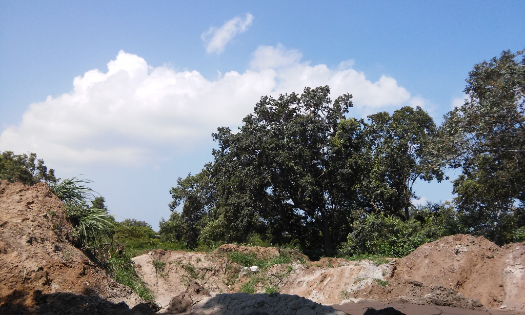 Terreno en Venta en Ciudad Ciudad Cuauhtemoc