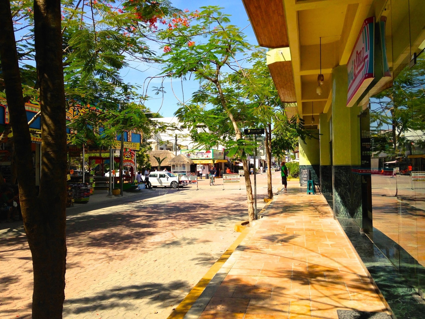 Departamento en Renta en Playa del Carmen Centro