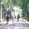 Rancho en Venta en Rancho La Pitaya