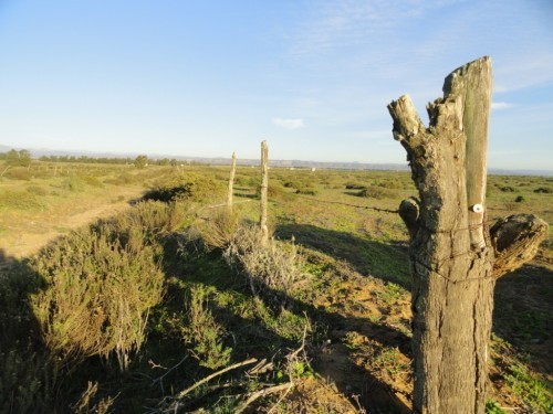 Terreno en Venta en San Quintin