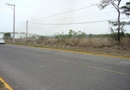 Terreno en Venta en BRUNO PAGLIAIA