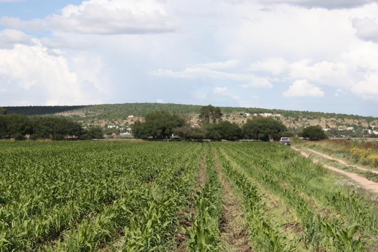 Terreno en Venta en El Marques