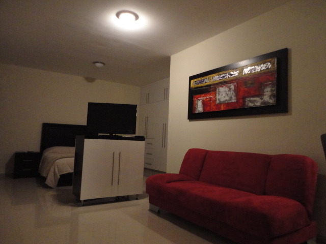 Loft en Renta en Milenio III