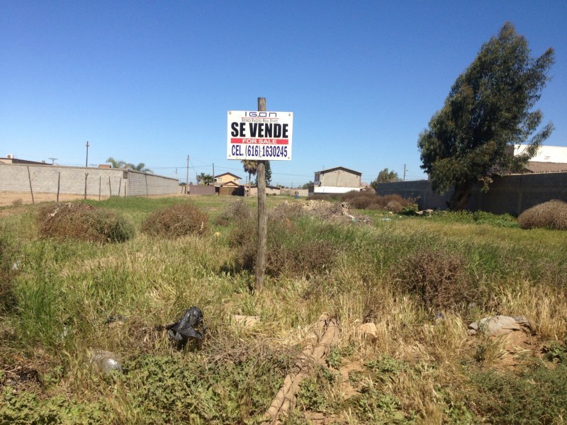 Terreno en Venta en Poblado San Quintin