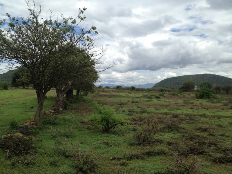 Terreno en Venta en Teotitlan del Valle, Santiago Ixtaltepec