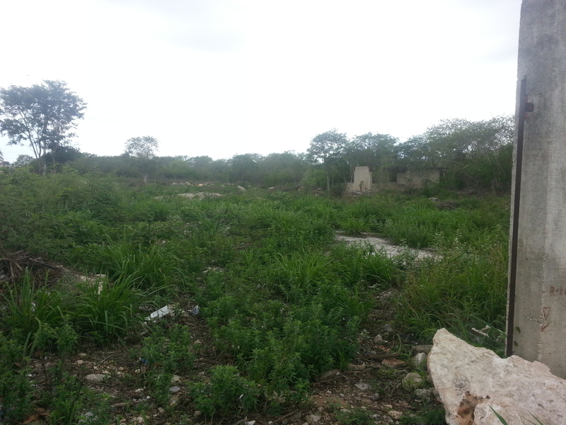 Terreno en Renta en colonia Dzitya