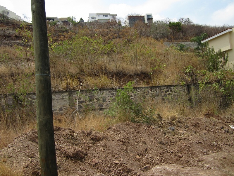 Terreno en Venta en LOS CEDROS