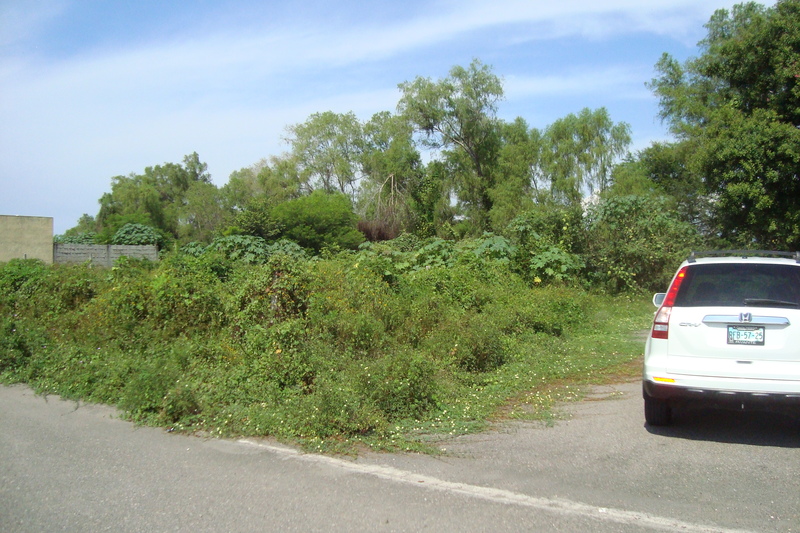 Terreno en Venta en Nuevo Ixtapa