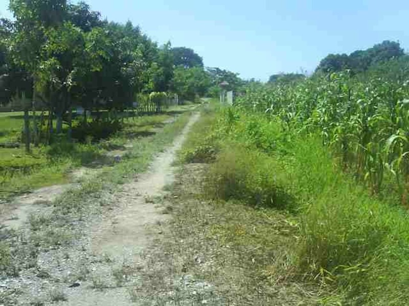 Terreno en Venta en colonia Los Gansos