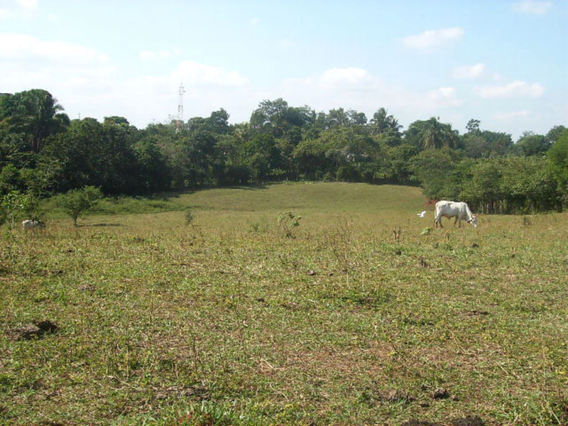 Terreno en Venta en Villahermosa Centro