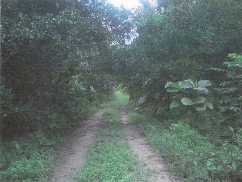 Terreno en Venta en Libertad 4a Secc