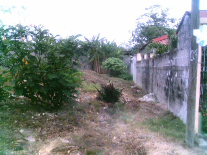 Terreno en Renta en Calzada