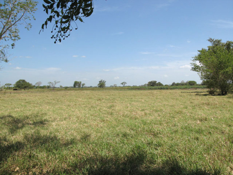 Terreno en Venta en colonia Villahermosa Centro