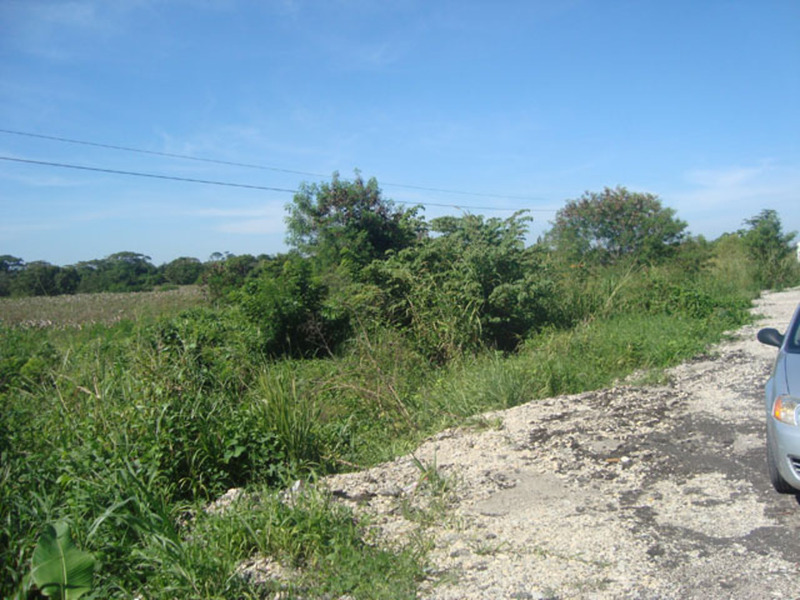 Terreno en Venta en colonia Ria. NIcolas Bravo