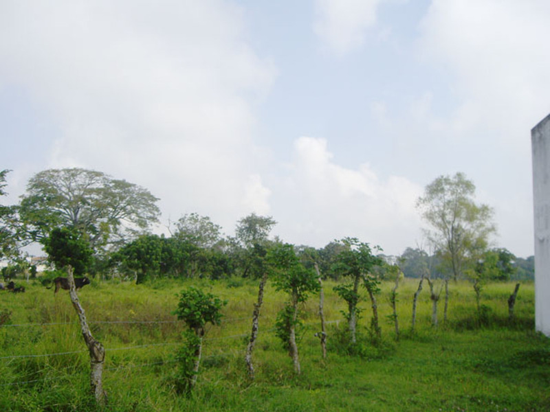 Terreno en Venta en El Country