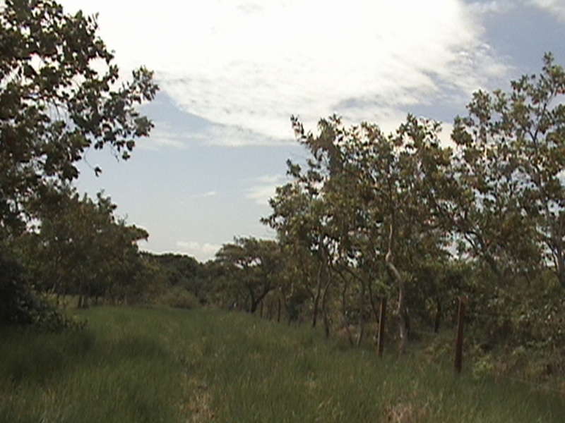 Rancho en Venta en colonia Agricola y Ganadera el Encomendero