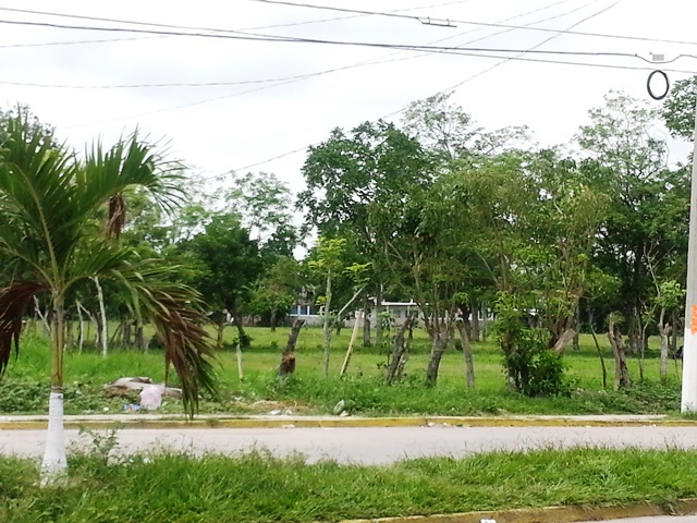 Terreno en Renta en Fracc. Bosques de Saloya