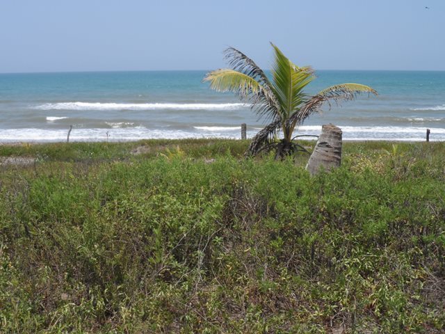 Casa en Venta en Tecolutla