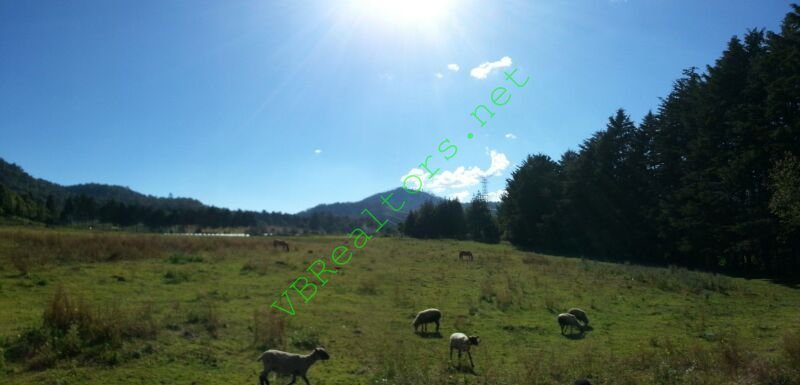 Terreno en Venta en Cuadrilla De Dolores