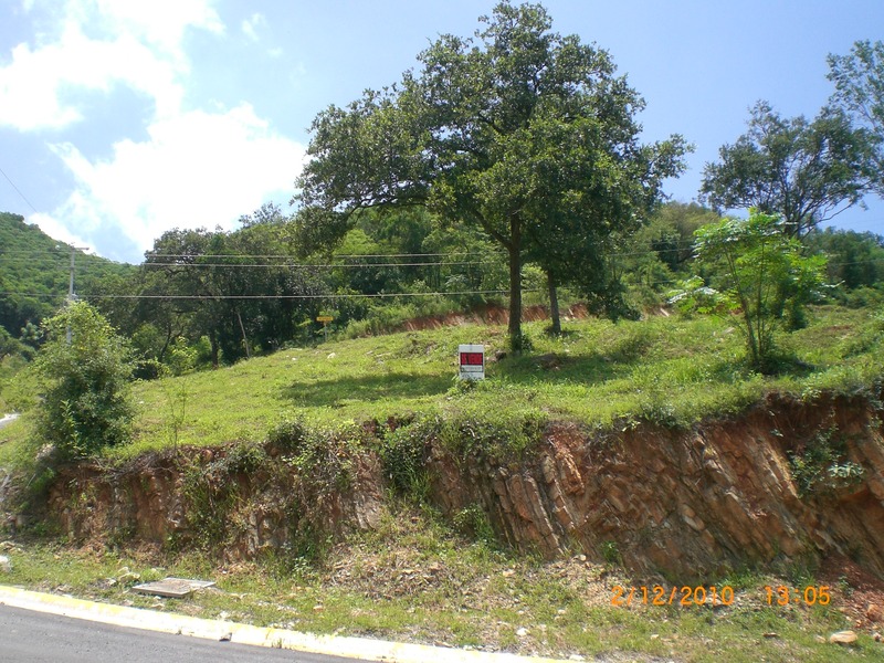 Terreno en Venta en Bosques de San Pedro