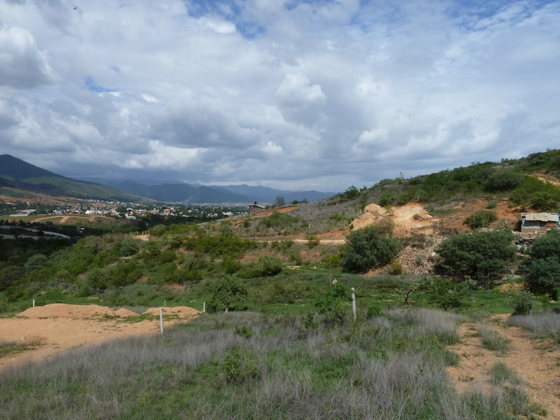 Terreno en Venta en Ejido Guadalupe Victoria