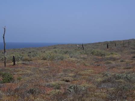 Terreno en Venta en San Quintin