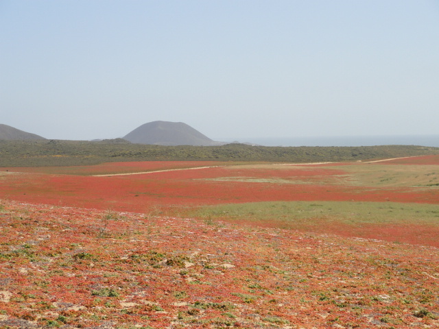 Terreno en Venta en San Quintin